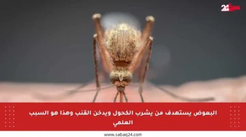 البعوض يستهدف من يشرب الكحول ويدخن القنب وهذا هو السبب العلمي